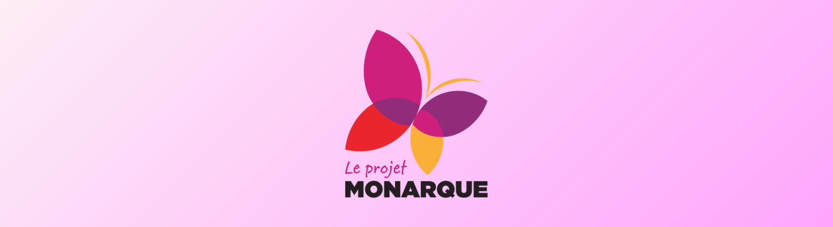 Header Site Français (1)
