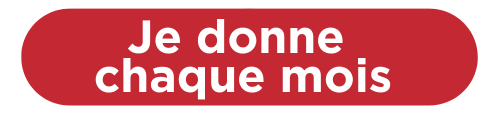 Bouton Faire Un Don (500 X 115 Px) (38)